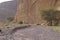 Nubian Ibex walks in Nahal Shani, Red Canyon near Eilat