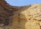 Nubian Ibex walks in Nahal Shani, Red Canyon near Eilat