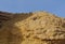 Nubian Ibex walks in Nahal Shani, Red Canyon near Eilat