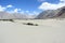 Nubra Valley(Ladakh).