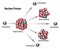 Nuclear Fission Reaction Diagram of Energy Release