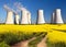 Nuclear power plant, cooling tower, field of rapeseed