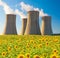 Nuclear power plant Dukovany with sunflower field, Czech Republic