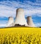 Nuclear power plant with field of rapeseed