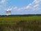 Nuclear Power Plant Next to a Florida Marsh