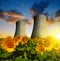 Nuclear power plant with sunflower field