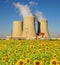 Nuclear power plant Temelin with sunflower field, Czech Republic