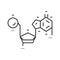 nucleic acids biochemistry line icon vector illustration