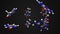 Nucleobases in the nucleic acid of DNA or RNA