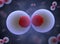 nucleolus, nucleus, 3d stem cell.