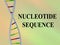 NUCLEOTIDE SEQUENCE concept