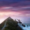Nugget Point is one of the most distinctive landforms along the Otago coast of New Zealand. It`s a steep headland with lighthouse