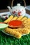 Nugget sticks fish fried crunchy line up around with cucumber tomato ketchup with teapot on artificial grass