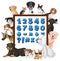 Number 1-10 and math symbols on a board with many different types of dogs