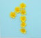 Number 1 on a blue background from yellow bright spring flowers. Children`s age, baby month, symbol of flowers