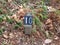 Number 10 on sign on ground with leaves