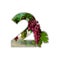 Number 2 made of real grapes