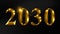 Number 2024 in golden digits on dark background