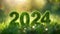 Number 2024 made of green grass. Natural figure. 3D rendering. Greenery symbol. Glowing bokeh