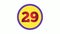 Number 29 sign symbol animation motion graphics on yellow circle white background