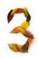 Number 3 of colorful autumn leaves. Cardinal number three mades of fall foliage. Autumnal design font concept.