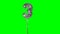 Number 3 three years birthday anniversary silver balloon floating on green screen -