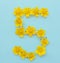 Number 5 on a blue background from yellow bright spring flowers. Children`s age, baby month, symbol of flowers