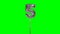 Number 5 five years birthday anniversary silver balloon floating on green screen -