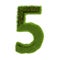 Number 5, made of grass isolated on white background. Symbol covered green grass. Eco letter. 3d illustration