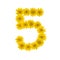 Number 5 made from yellow Wedelia flowers