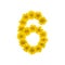 Number 6 made from yellow Wedelia flowers