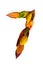 Number 7 of colorful autumn leaves. Cardinal number seven mades of fall foliage. Autumnal design font concept