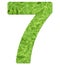 Number 7 with fern texture, isolated on white background, font Helvetica World, bold