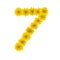 Number 7 made from yellow Wedelia flowers