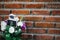 Number 8. White flower and brick wall cover with cement