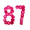 Number 87 from flowers of a red and pink rose on a white background. Typographic element for design.