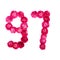 Number 97 from flowers of a red and pink rose on a white background. Typographic element for design.