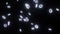 Number of glowing rings falling from above 3D animation motion graphics background