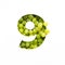 Number nine made of green grape and paper cut in shape of ninth numeral isolated on white. Typeface of fresh berries