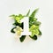 Number one cut out of white paper. White and green helleborus winter rose flowers, fern leaves.