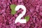 Number two shape on the purple Common Lilac Syringa vulgaris flowers background.