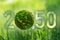 Numbers 2050 with green planet.