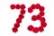Numeral 73 made of red roses on a white isolated background. Element for decoration. seventy three. Red roses
