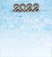 Numerals 2022 on blue background. Wooden digits 2022