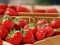 Numerous baskets of fresh strawberries are for sale. Selective attention to strawberries