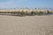 Numerous grass umbrellas on a beach.