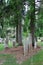 Numerous headstones standing tall in memory of lost ones, Oakwood Cemetery, Chittenango, New York, 2019