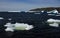 Numerous Icebergs in St. Carol\'s