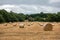 Numerous round hay bales lined up in a field