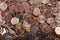 Numismatic background of uncirculated varieties of Nickels